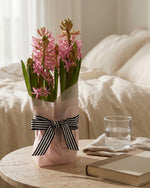 Potted Hyacinth - Dark Pink