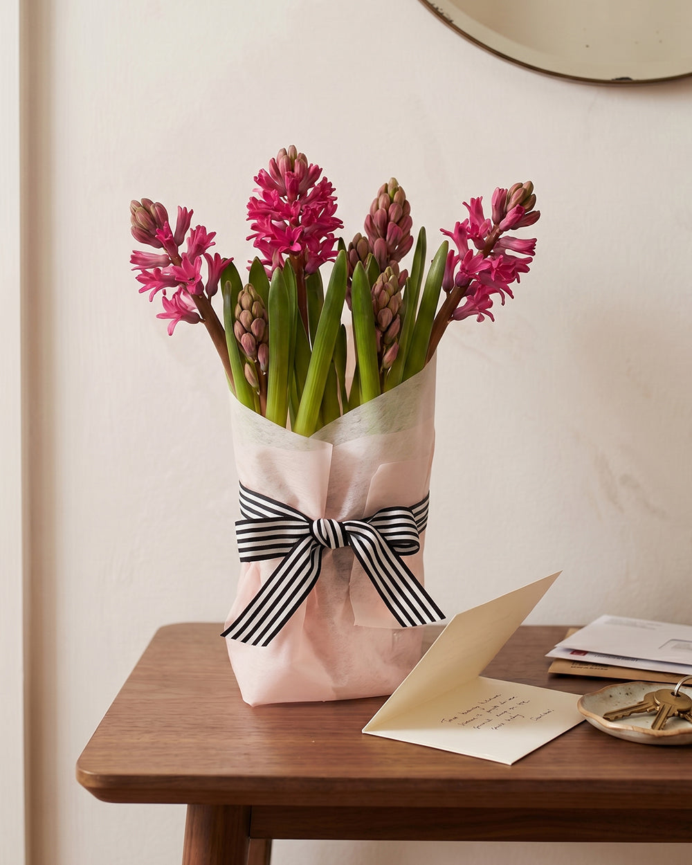 Potted Hyacinth - Dark Pink