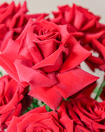 Lucky Bloom Vase Arrangement