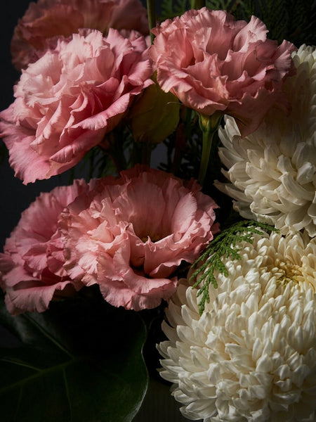 Monaco Arrangement Pink (Regular)