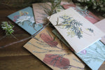 Banksia Portrait Card