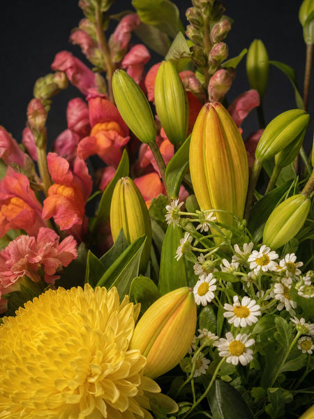 Amalfi Posy by Fig & Bloom, close-up of the lilies, snapdragon and disbud