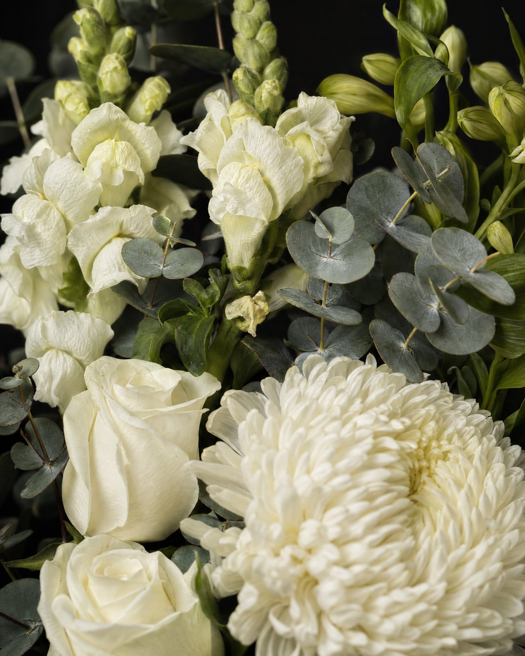 Ravello Posy by Fig & Bloom, close-up of the white roses and disbud