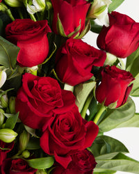 Amour Brisbane Close Up