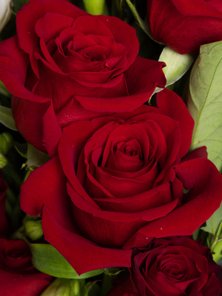 Amour Brisbane Close Up