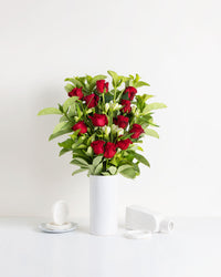 Amour Brisbane One Dozen