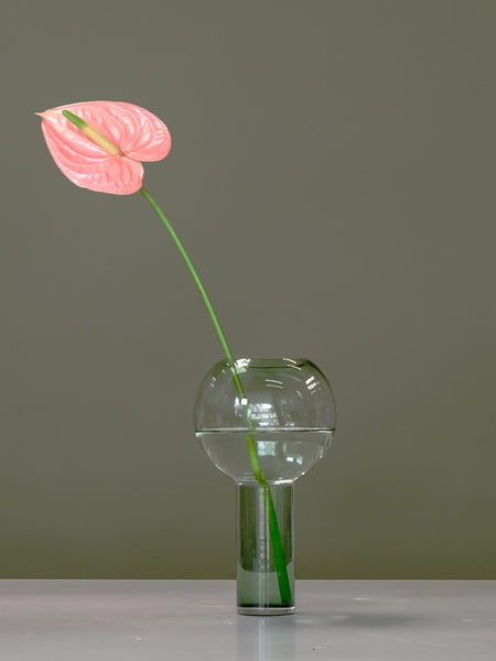 Anthurium in Balloon Vase
