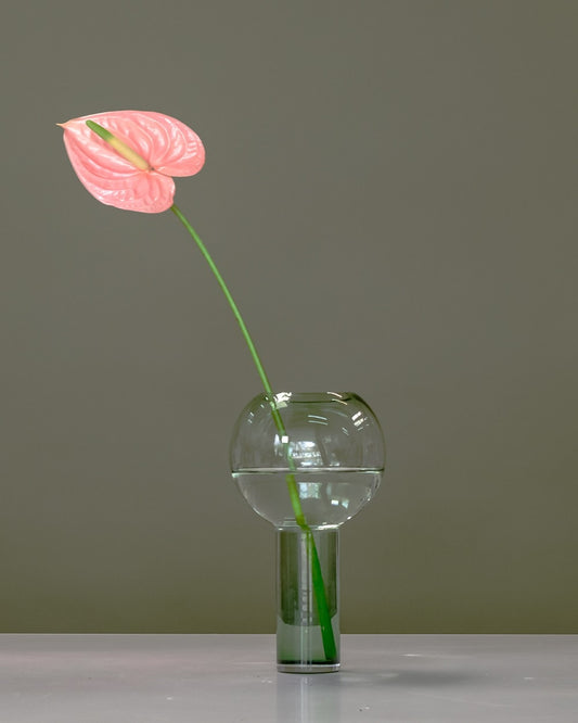 Anthurium in Balloon Vase