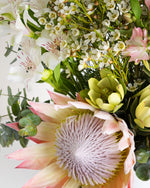 Bespoke Australian Natives