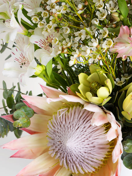 Bespoke Australian Natives