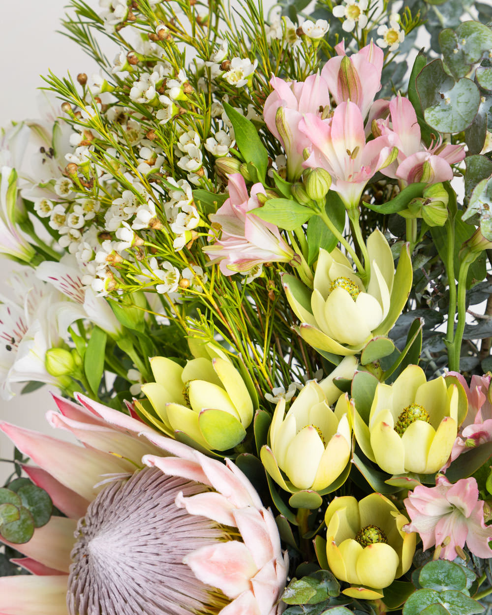 Bespoke Australian Natives