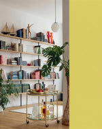 Inside Plant House: styled bookshelf with monstera and brass bar cart