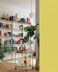Inside Plant House: styled bookshelf with monstera and brass bar cart