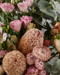 Broome Regular CloseUp