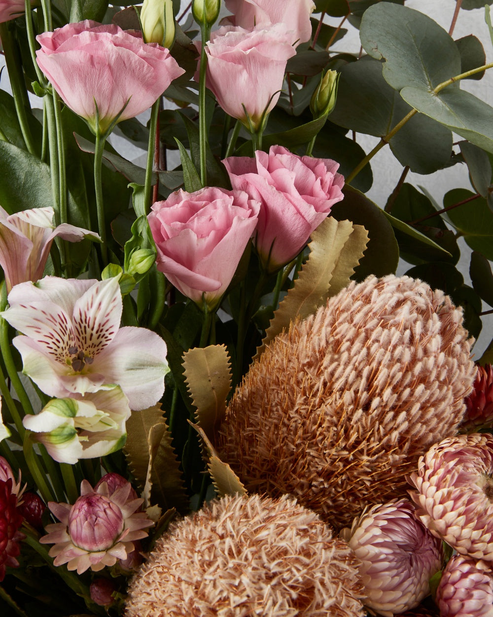 Broome Regular CloseUp