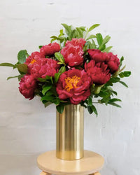 Burgundy Peonies
