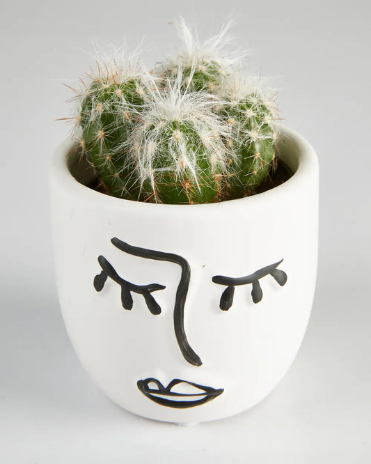 Cactus “Esposta” Cluster in Face Pot (60mm)
