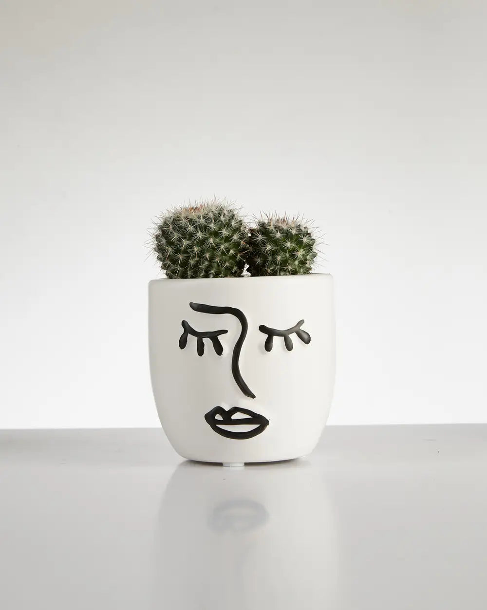 Cactus “Mammillaria” Cluster in Face Pot (60mm)