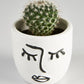 Cactus “Mammillaria” Single in Face Pot (60mm)