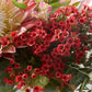 Christmas Table Flowers (Australian Natives)