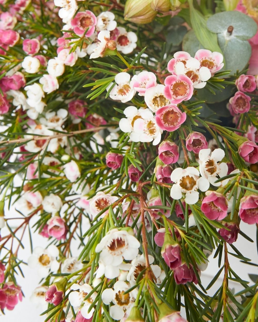 Christmas Table Flowers (Australian Natives)