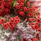 Christmas Table Flowers (Australian Natives)