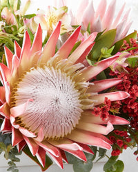 Christmas Flowers