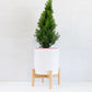 Christmas Tree in Stand (100cm)