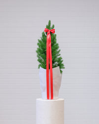 Medium Christmas Tree