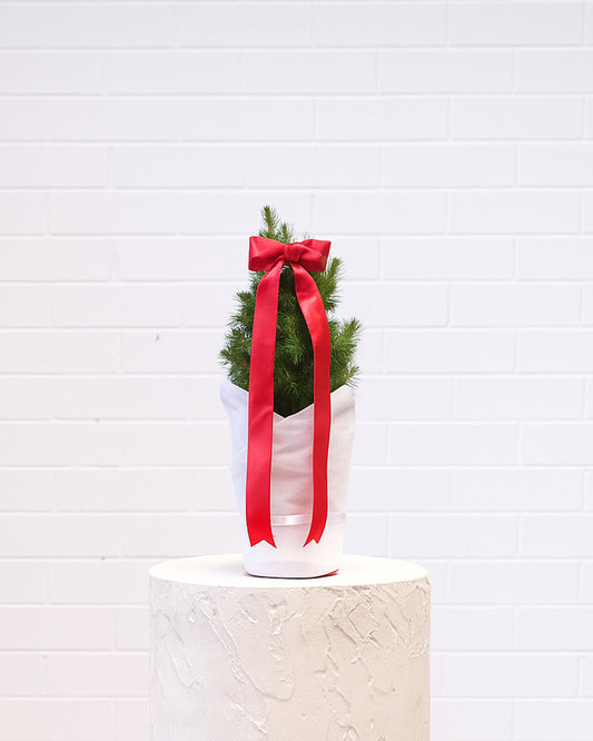 Mini Christmas Tree
