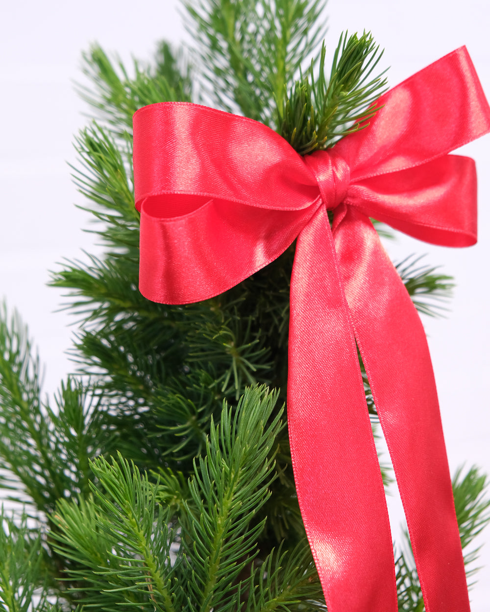 Large Christmas Tree