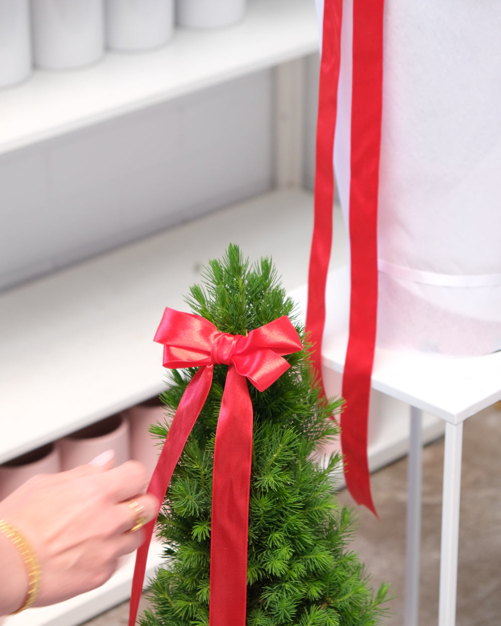 Medium Christmas Tree