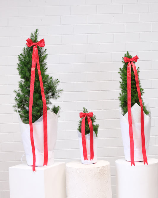 Large Christmas Tree