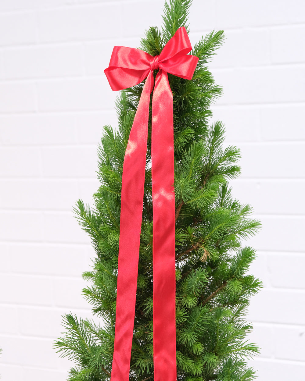 Large Christmas Tree