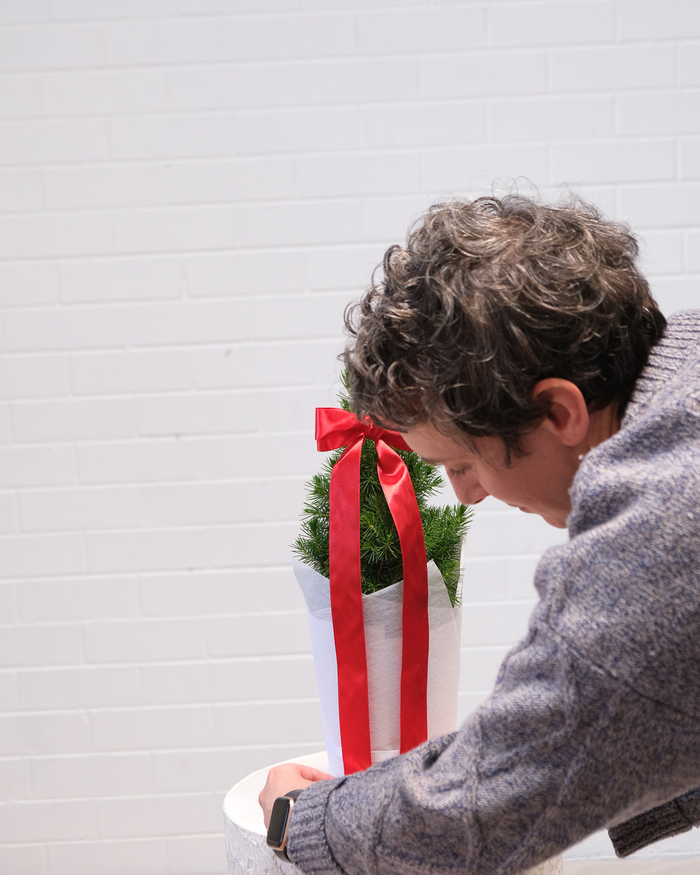 Medium Christmas Tree