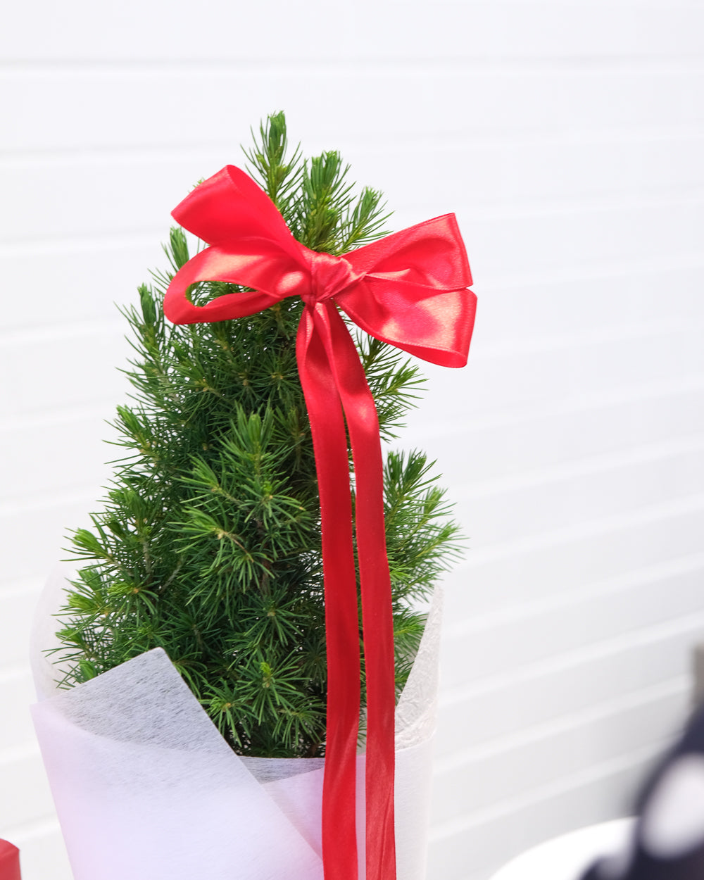 Medium Christmas Tree