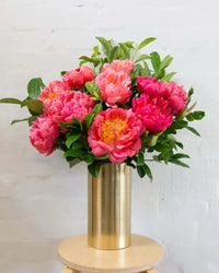 Coral Peonies