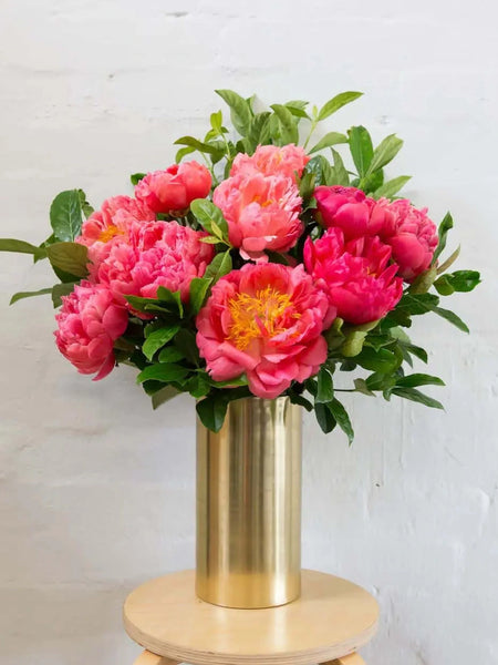 Coral Peonies