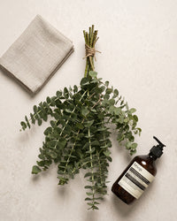 Eucalyptus Shower Ritual
