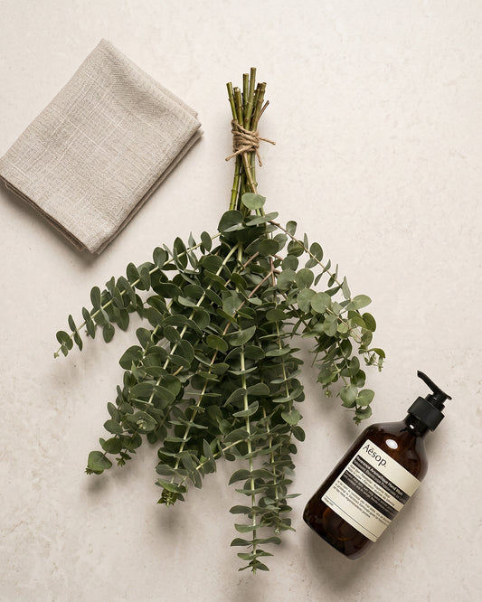 Eucalyptus Shower Ritual