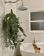 Eucalyptus Shower Ritual 