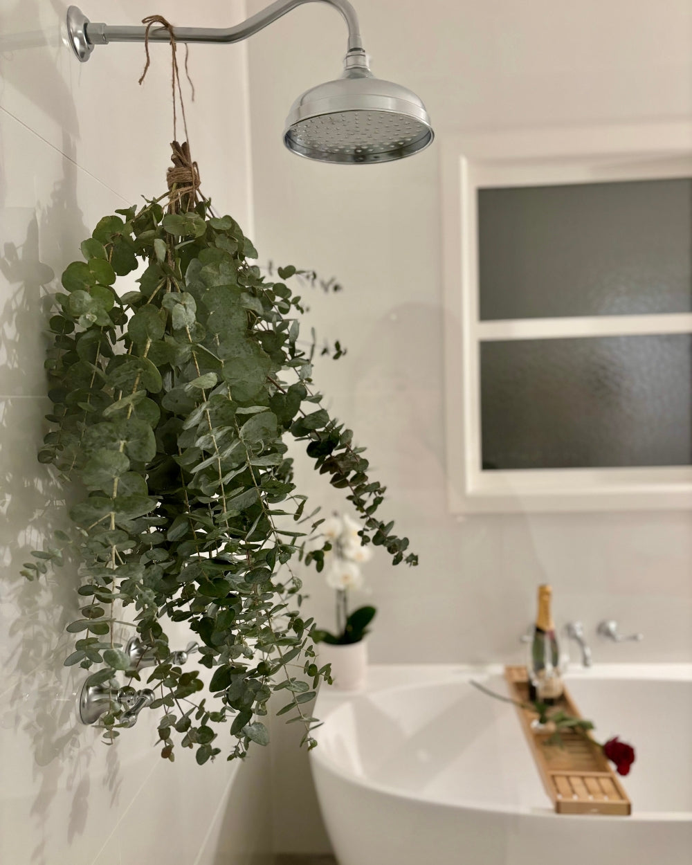 Eucalyptus Shower Ritual 