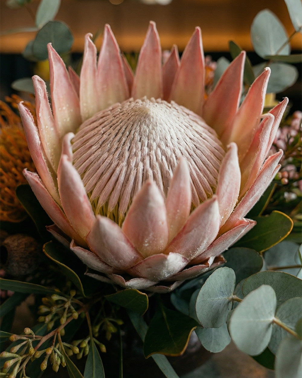 Native Centrepiece - Regular