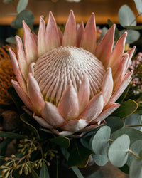 Native Centrepiece - Regular