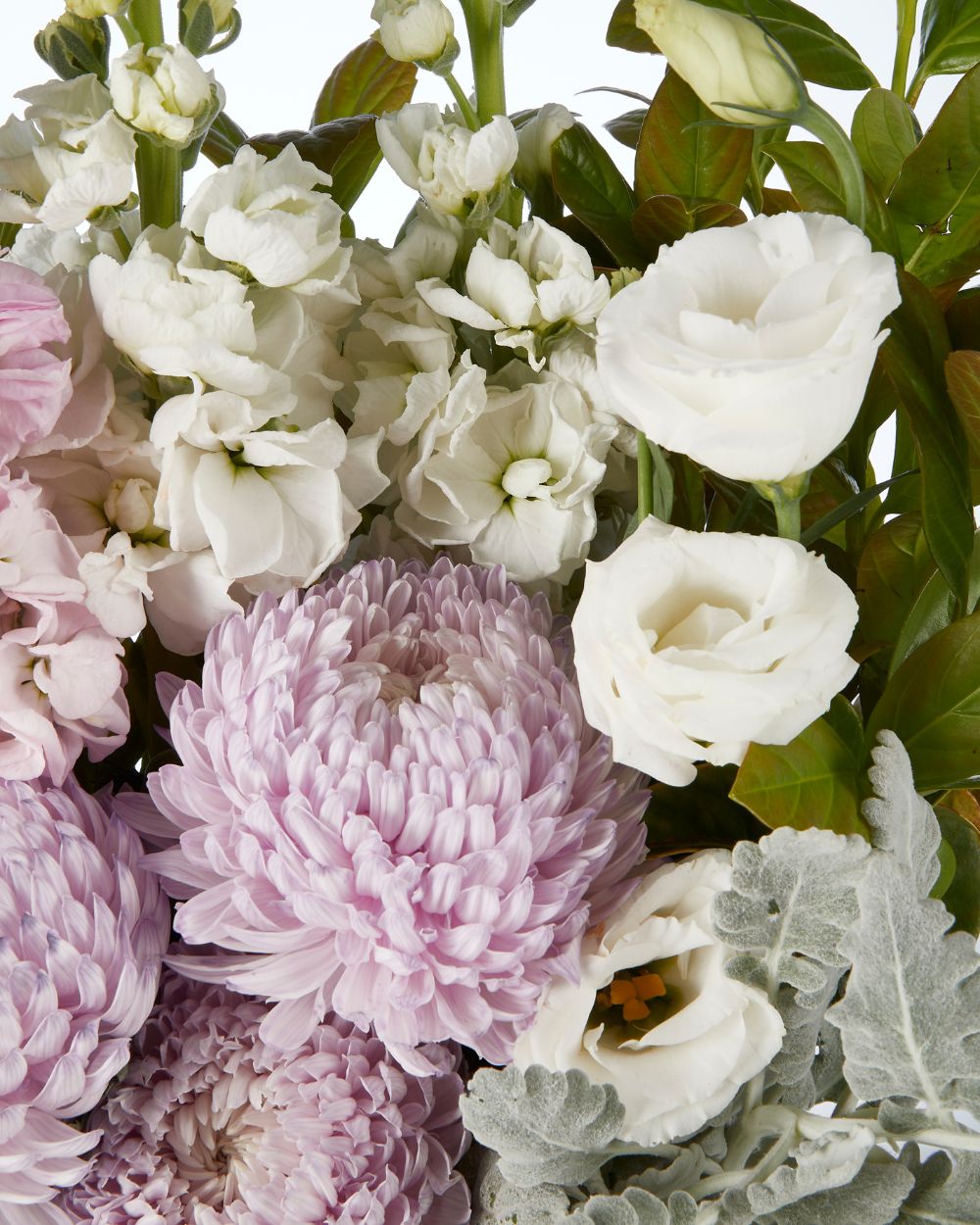 Turin Vase Arrangement