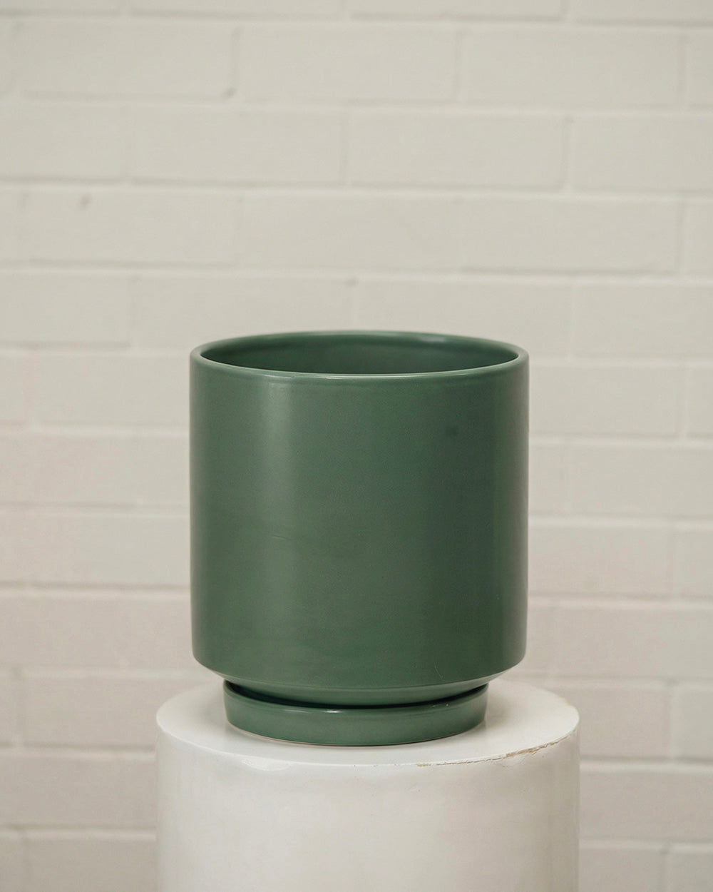 Hydrangea - Ruby Red