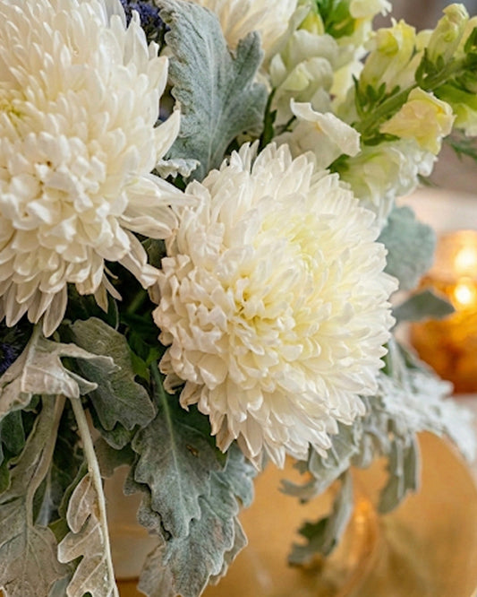 White Centrepiece - Regular