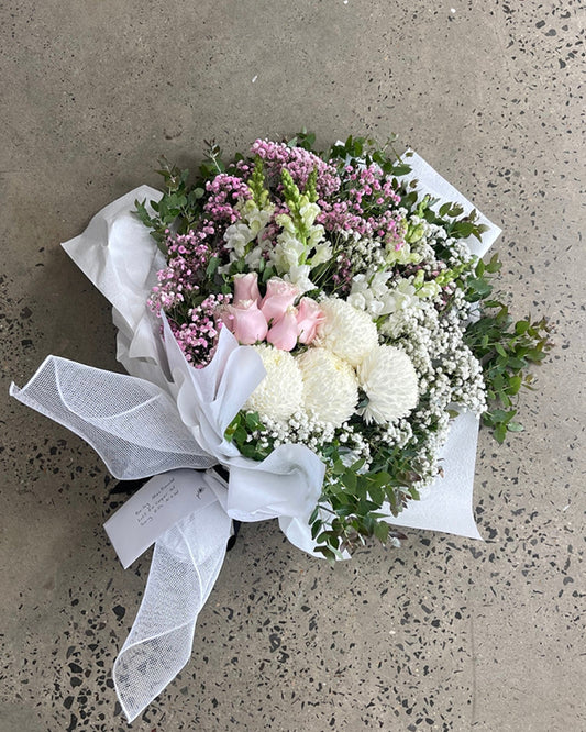 The Signature Collection