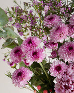 Flower Subscription - Pink Seasonal Blooms - Fig & Bloom
