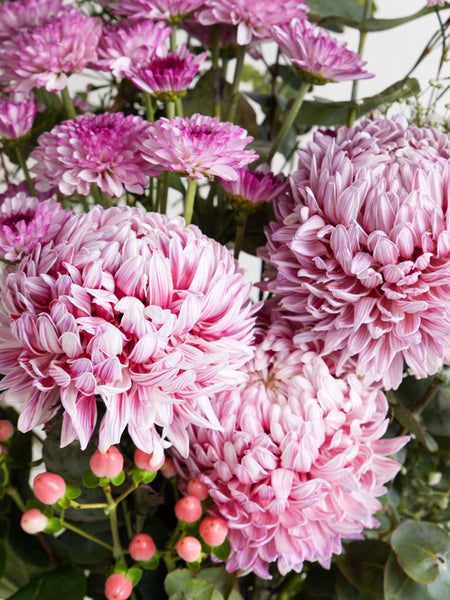 Flower Subscription - Pink Seasonal Blooms - Fig & Bloom